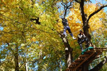 Parcours dans les arbres