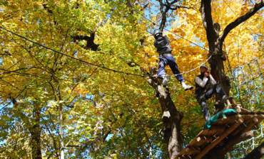 gallery_img-01.jpg